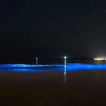 Casa De Pedra O Carballal Ameixenda