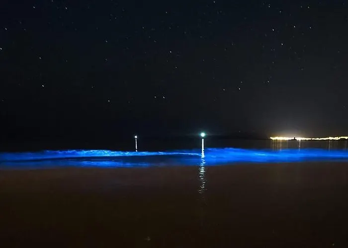 Casa De Pedra O Carballal Ameixenda